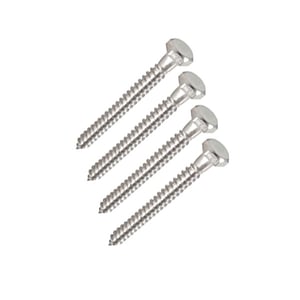Cascadia Rod Rail Stainless Steel Lag Screws