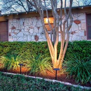 Dekor Radiance LED Landscape Light - Installed