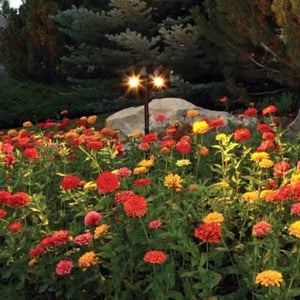 LED Spot Gang Landscape Pathway Light by Dekor