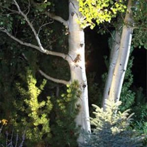 LED Triple Module Landscape Tree Light by Dekor 