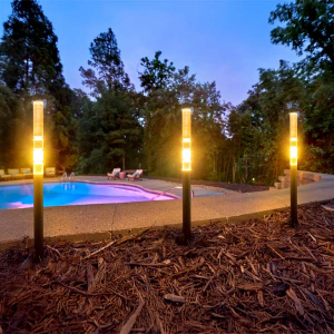 Lucentis Pathway Light by Dekor