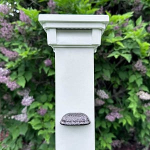 Dekor Mini Shelly Rail Light