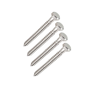 Cascadia Rod Rail Stainless Steel Lag Screws