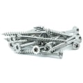 Eagle Claw 10x2" Stainless Steel Deck Screws