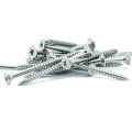 Eagle Claw 10x2-1/2" Stainless Steel Deck Screws