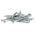 Eagle Claw 10x3" Stainless Steel Deck Screws