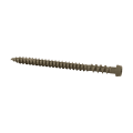 Fiberon Pro Plug System - Screw