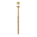 Caliburn Concrete XL Screws