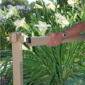 Regal Top Rail Detail