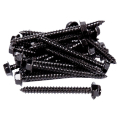 Regal Rail Black Lag Screws