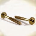 RSS Rugged Structural Screw