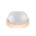 White Trex 24V Oval Riser Light