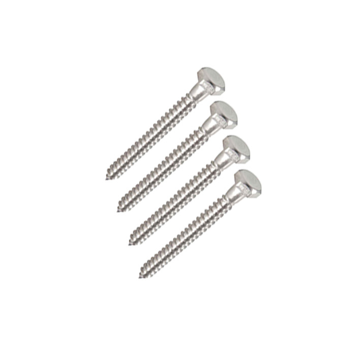 Cascadia Rod Rail Stainless Steel Lag Screws
