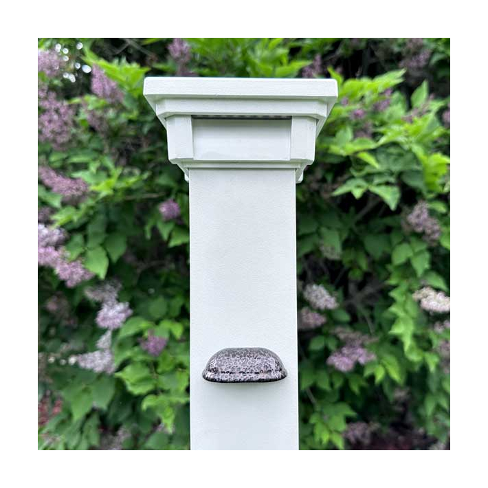 Dekor Mini Shelly Rail Light