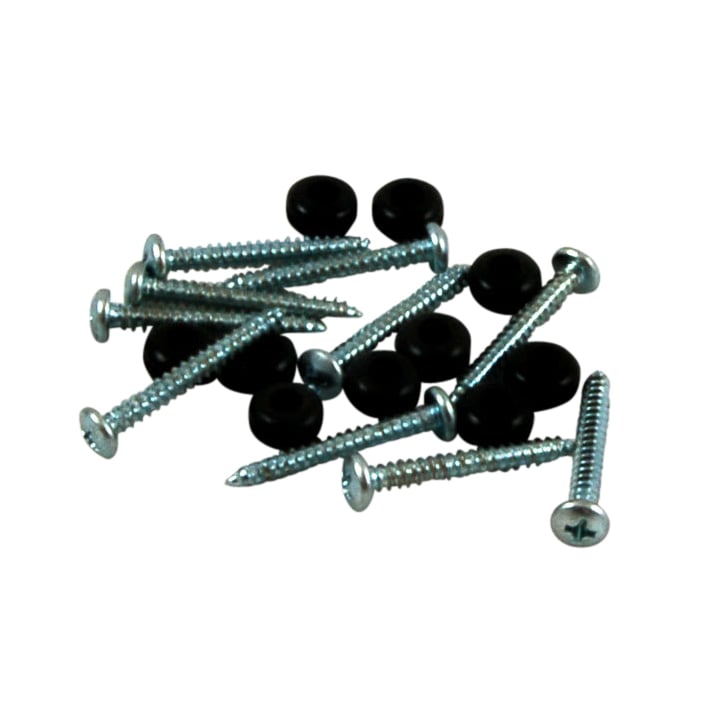 Pure View Screw and Washer 10 pkg.