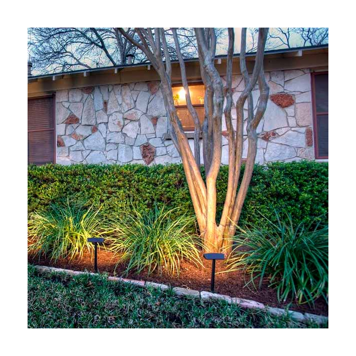 Dekor Radiance LED Landscape Light - Installed