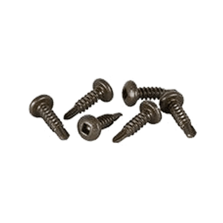 Regal Satin Aluminum Screws