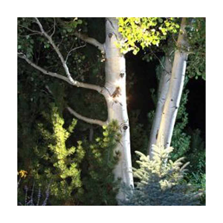 LED Triple Module Landscape Tree Light In Use