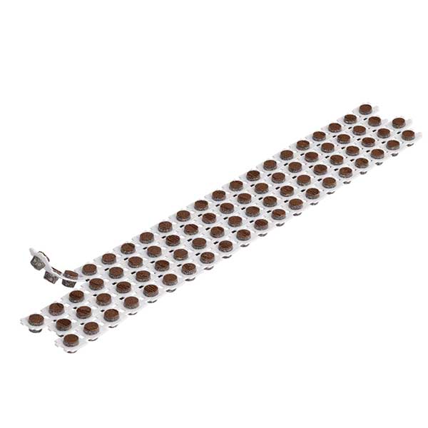 Trex Enhance Collated Cortex Strips at The Deck Store Online