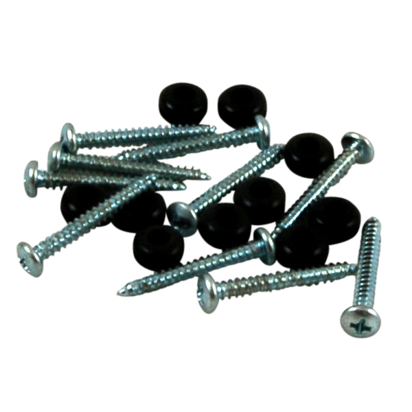 Pure View Screw and Washer 10 pkg.